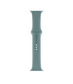 Correa Silicona para Apple Watch (38mm/40mm) Gris