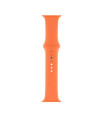 Correa Silicona para Apple Watch (38mm/40mm) Naranja