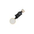 Flex con botón HOME para iPhone 7 / 7 Plus / 8 /8 Plus Oro