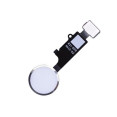 Flex con botón HOME retroceso para iPhone 7 /7 Plus /8 /8 Plus Blanco